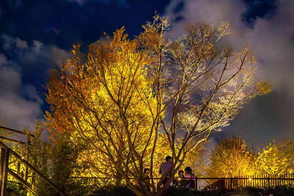 Little Island in Hudson River Park at dusk in the autumn.
