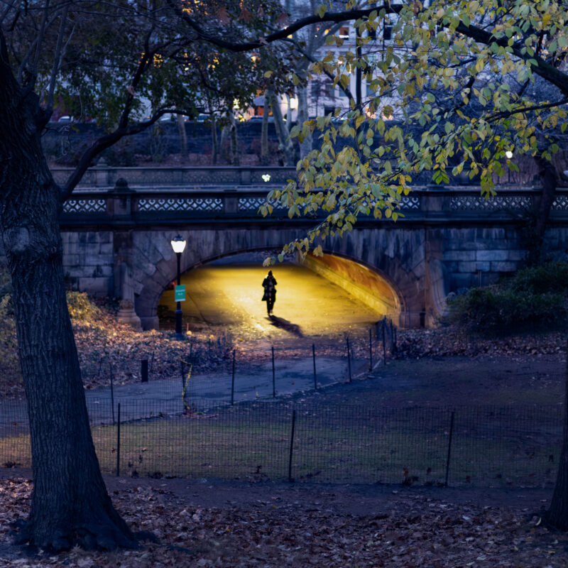 Solitary in Central Park
