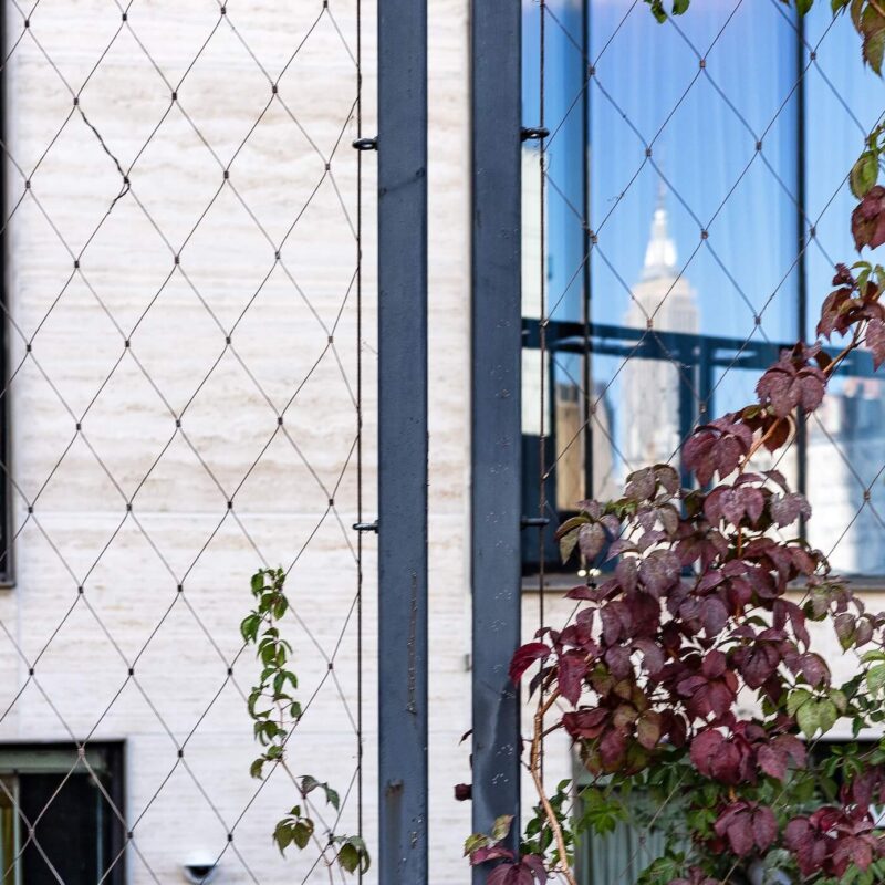 High Line Reflections