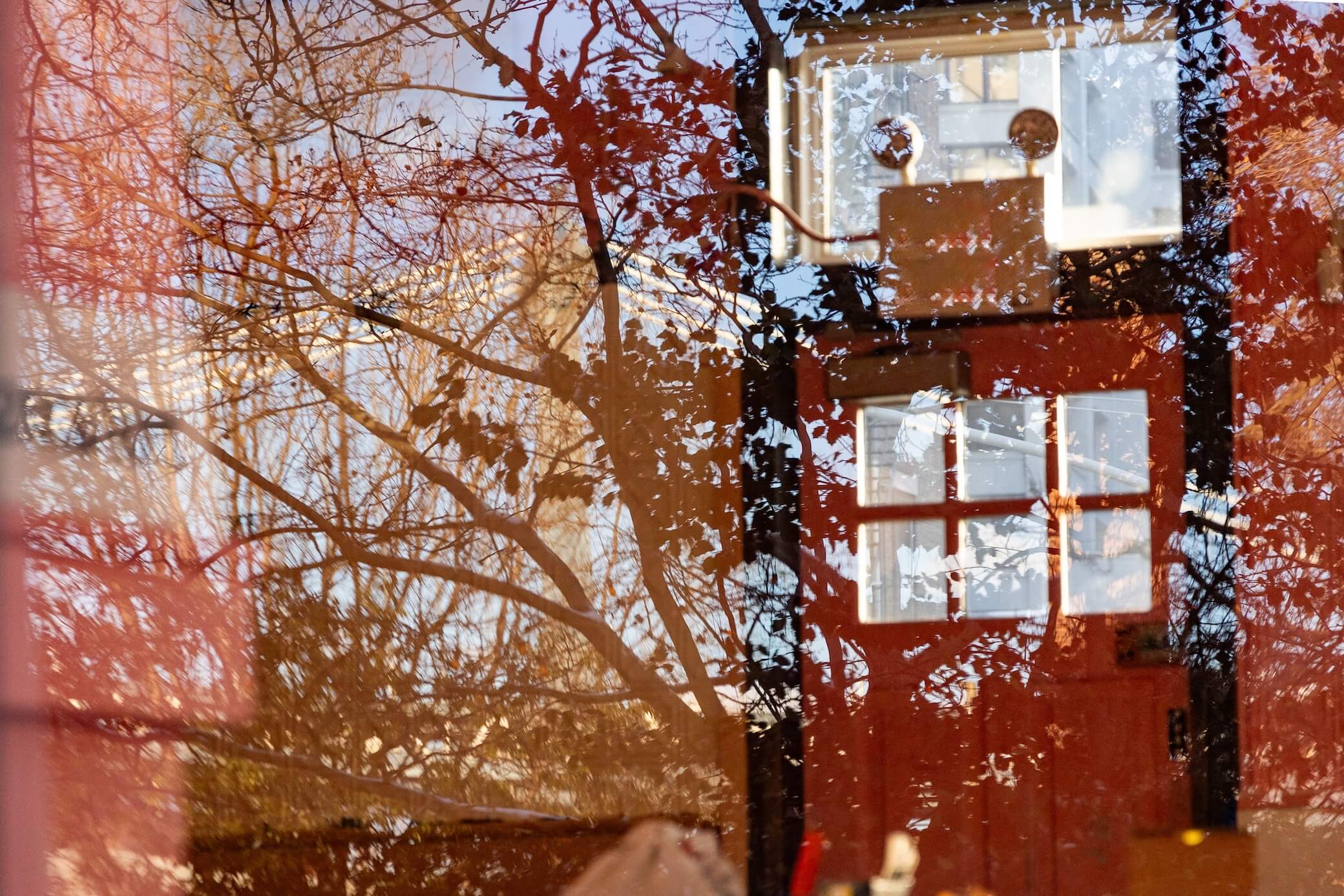 Glass Orchid Gallery Wall - Image 3