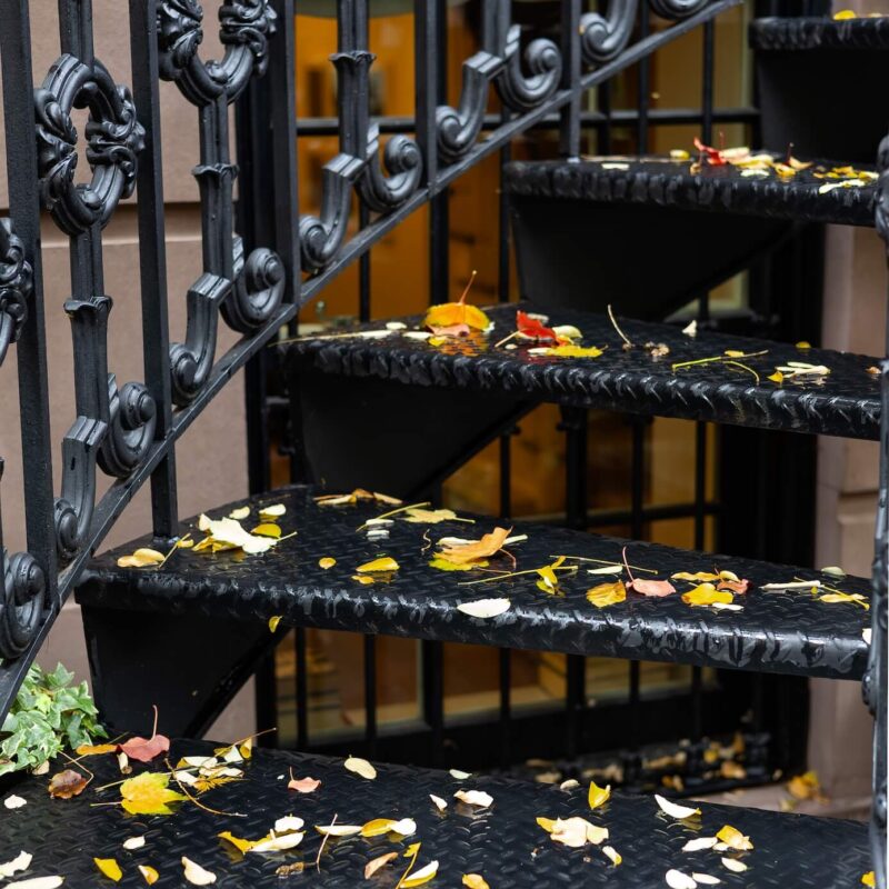 Iron Staircase with Leaves