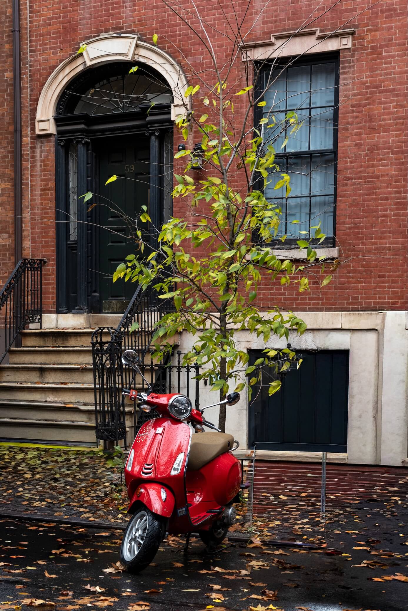 Glass Orchid Gallery Wall - Image 2