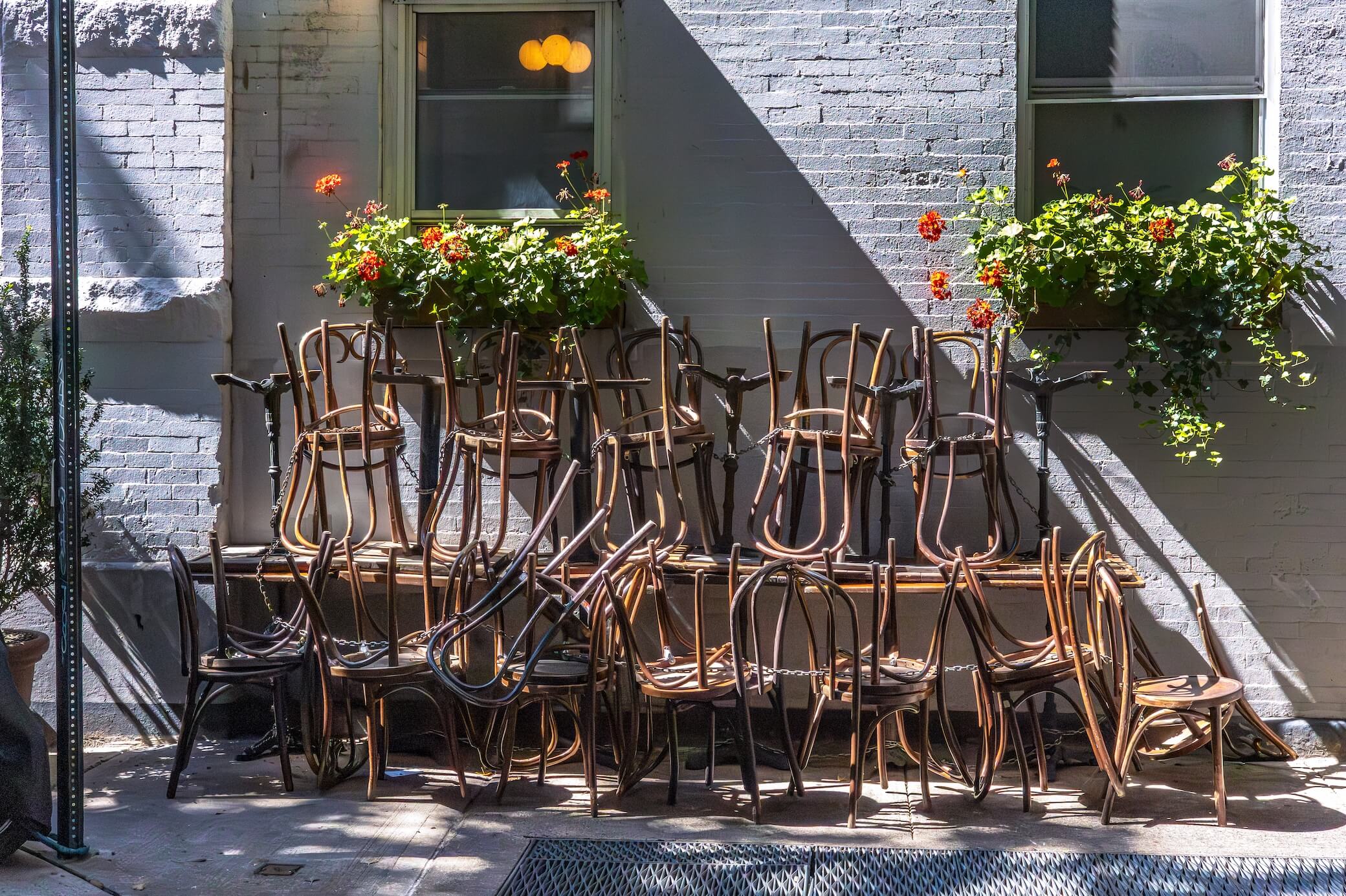 Glass Orchid Gallery Wall - Image 8