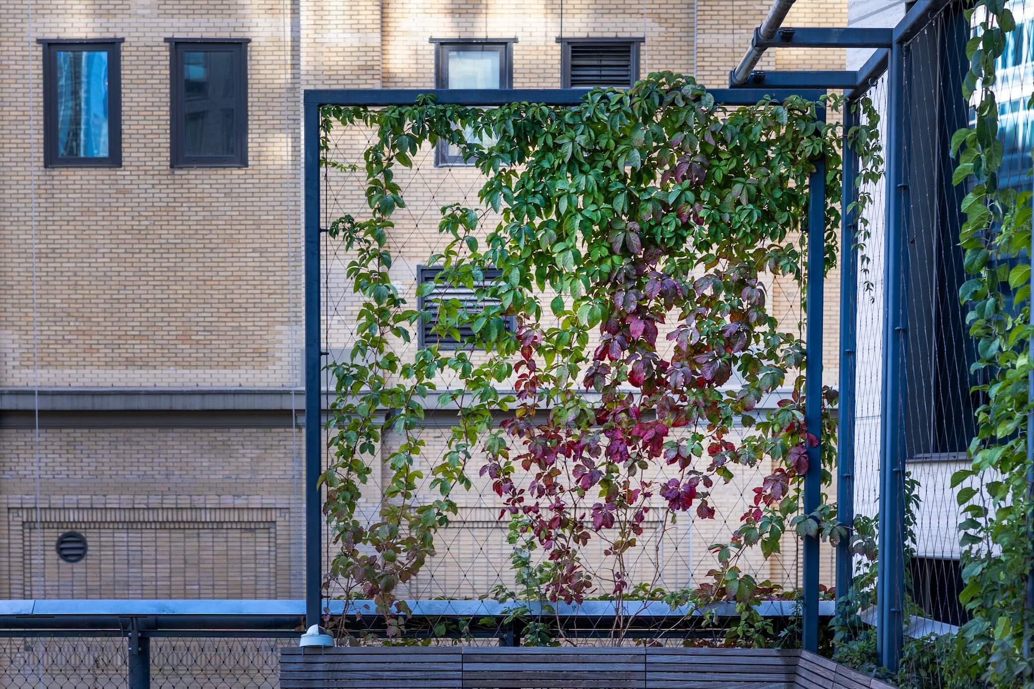 Glass Orchid Gallery Wall - Image 11