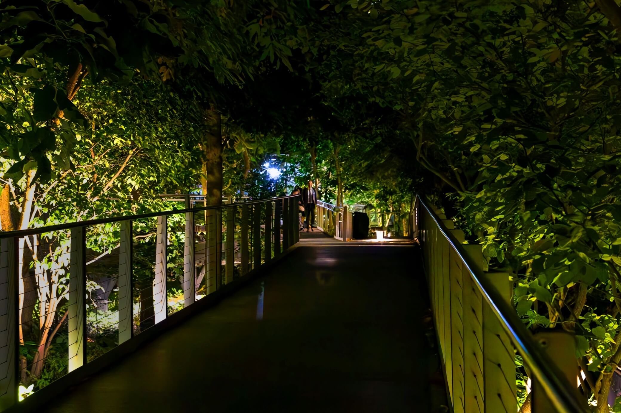 The Green Hour Gallery Wall - Image 2