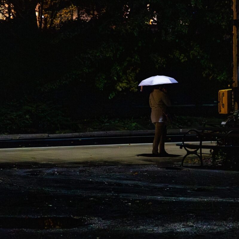 After the Rain, She Waits