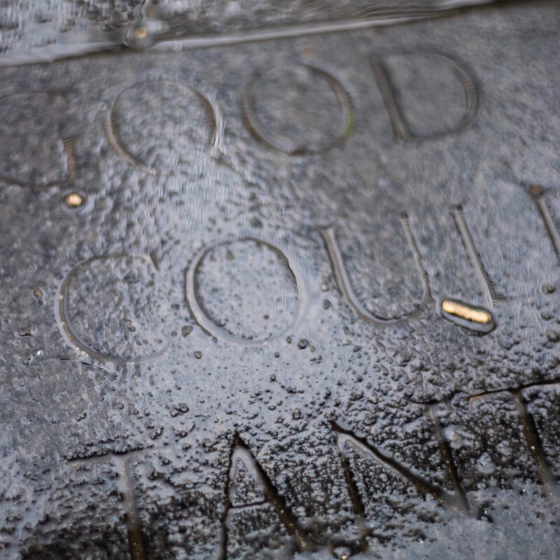 After the Weather, the Words