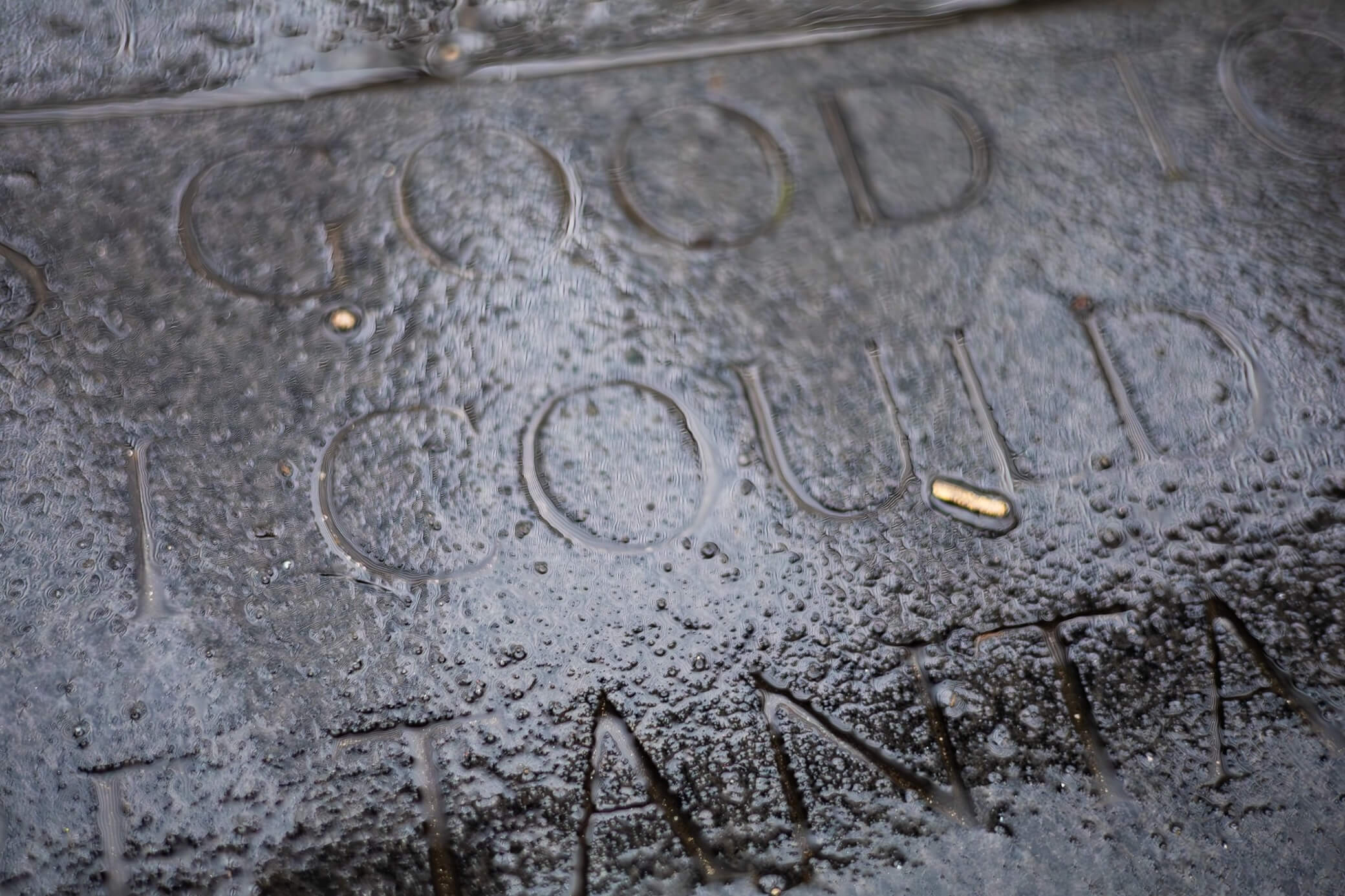 After the Weather, the Words