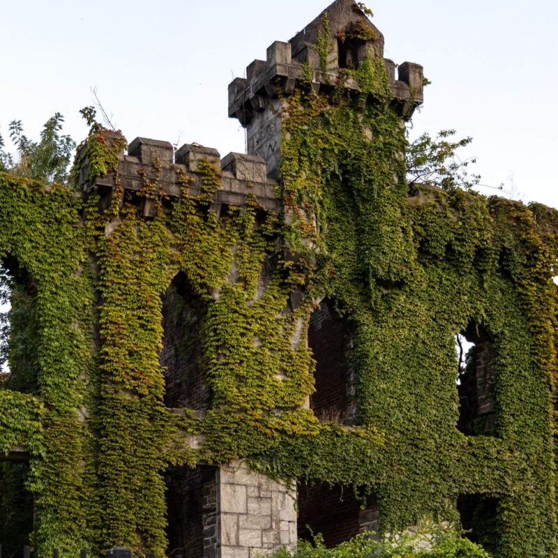 Inheritance of Stone and Ivy