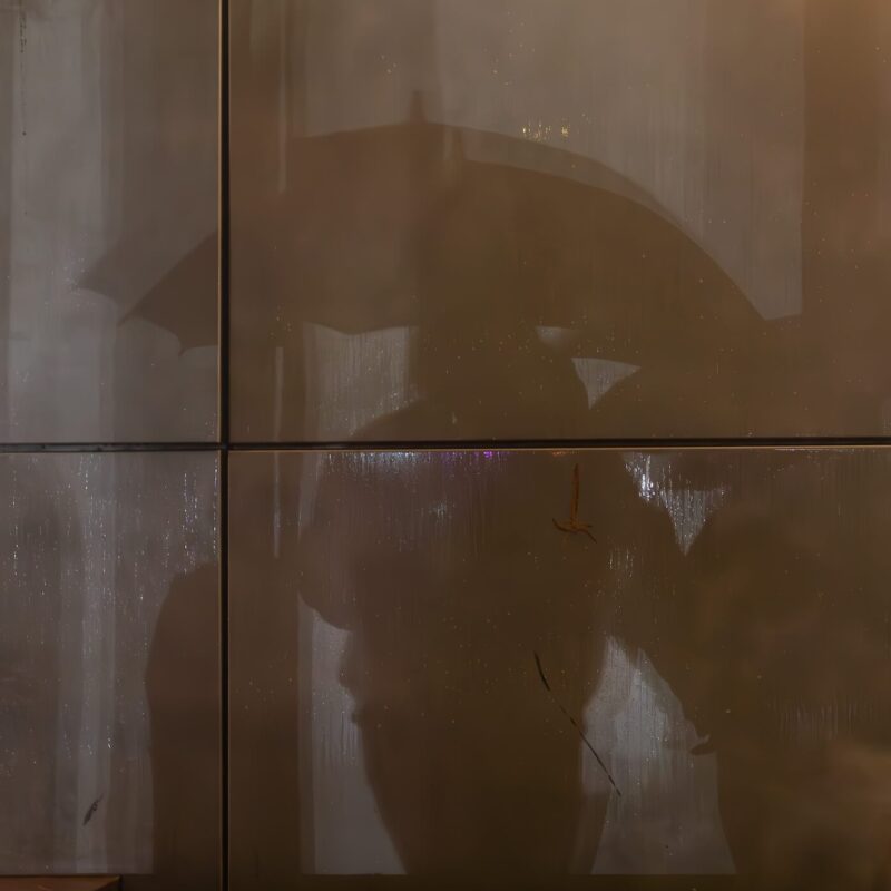 Shelter in the Second Measure