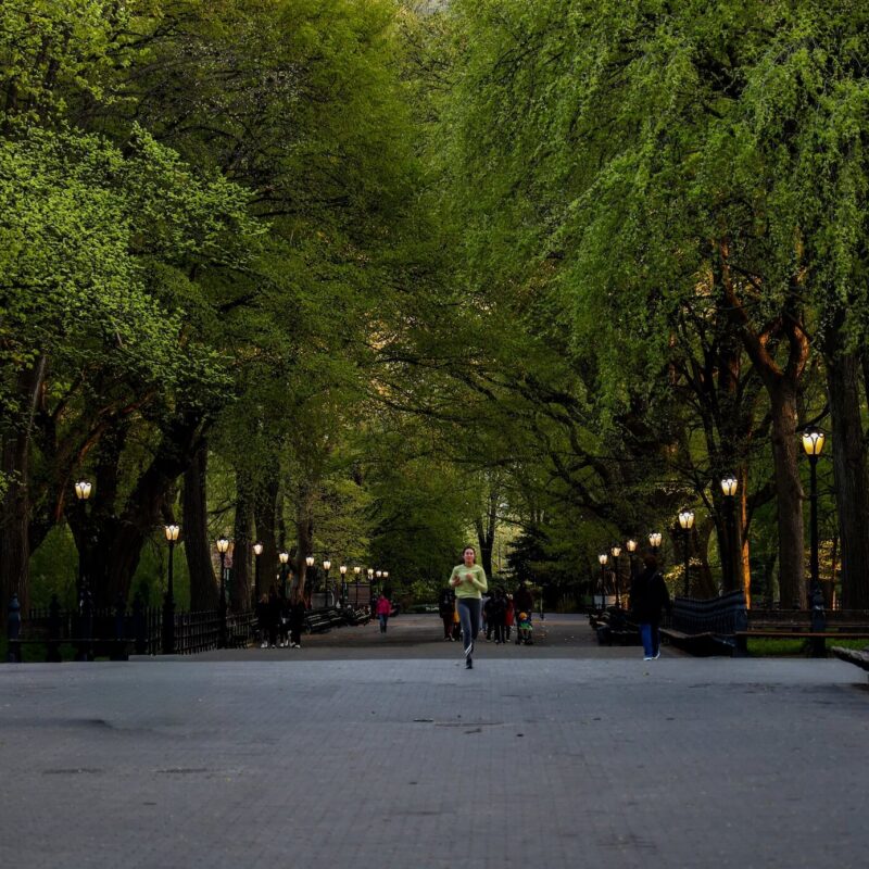 The Green Hour Begins