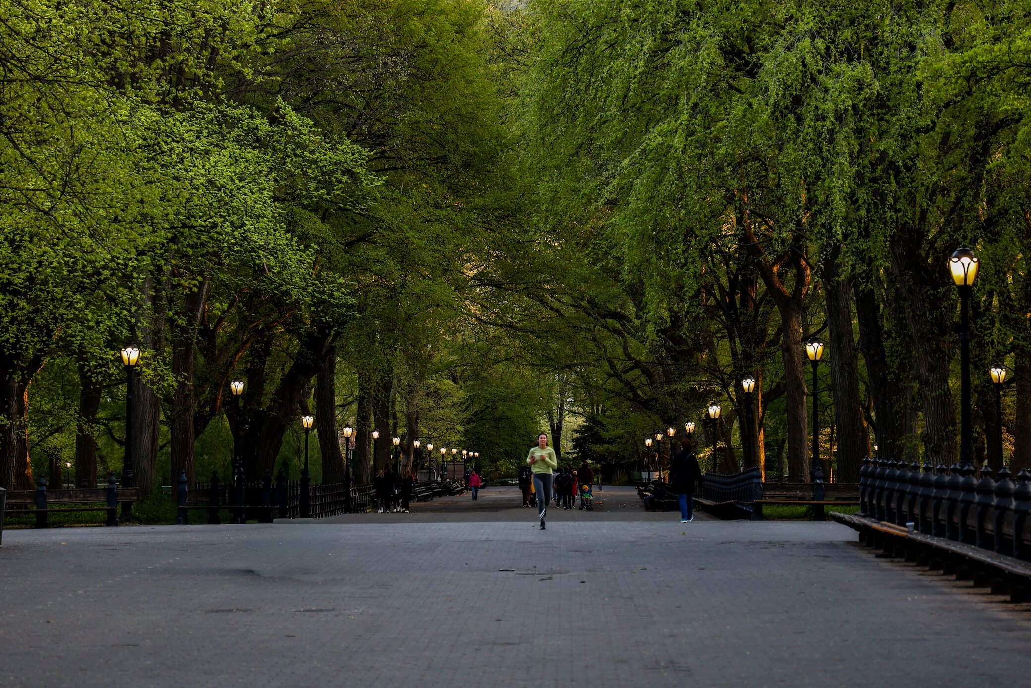 The Green Hour Gallery Wall - Image 9