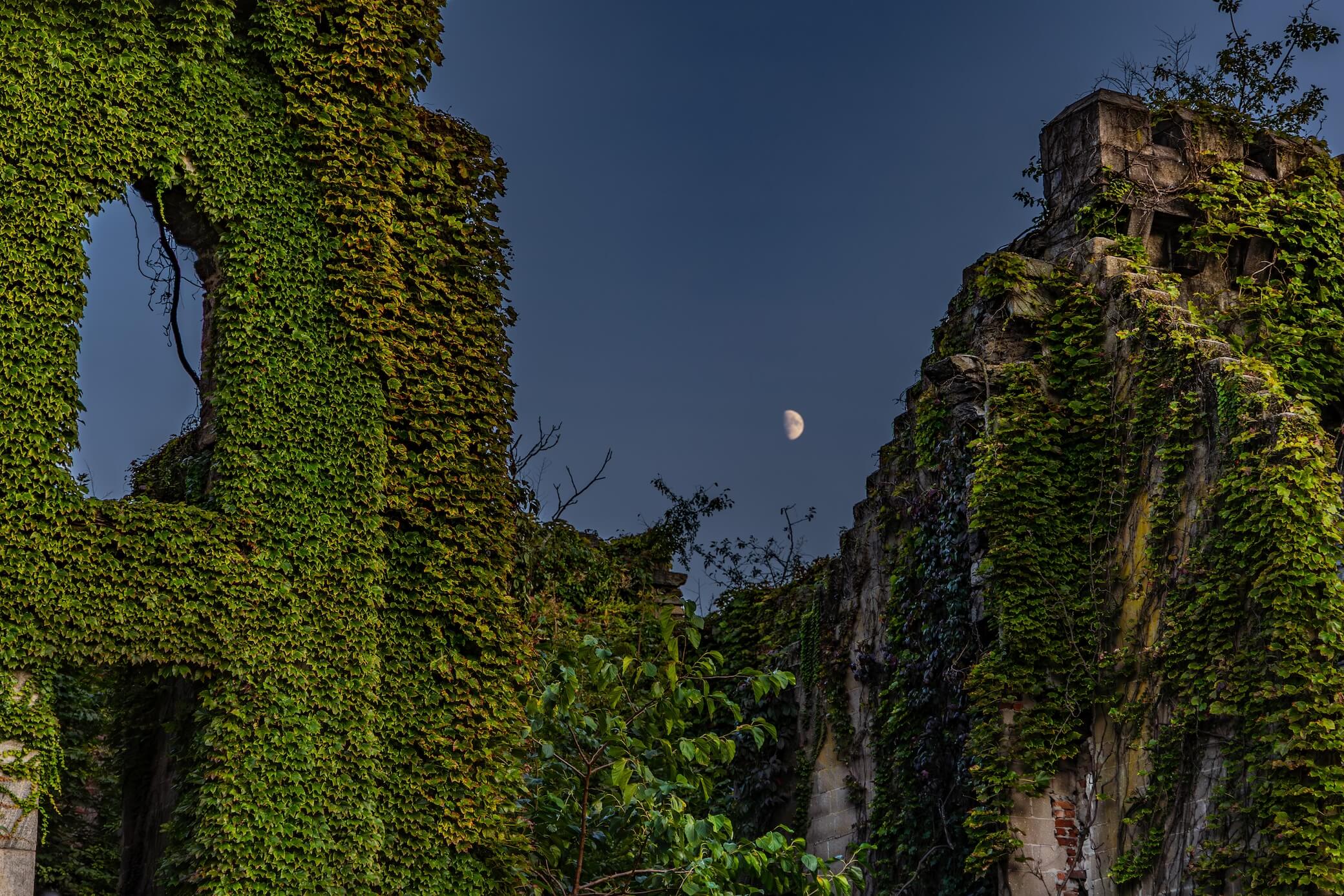 The Green Hour Gallery Wall - Image 5