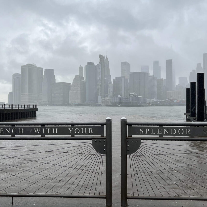 What the Storm Allows