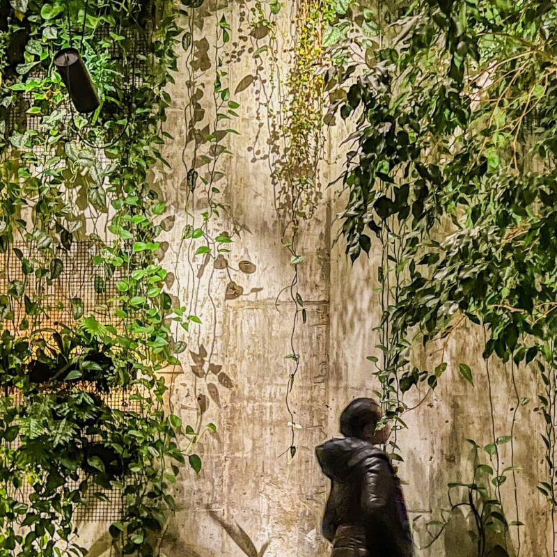 Where the City Grows Back