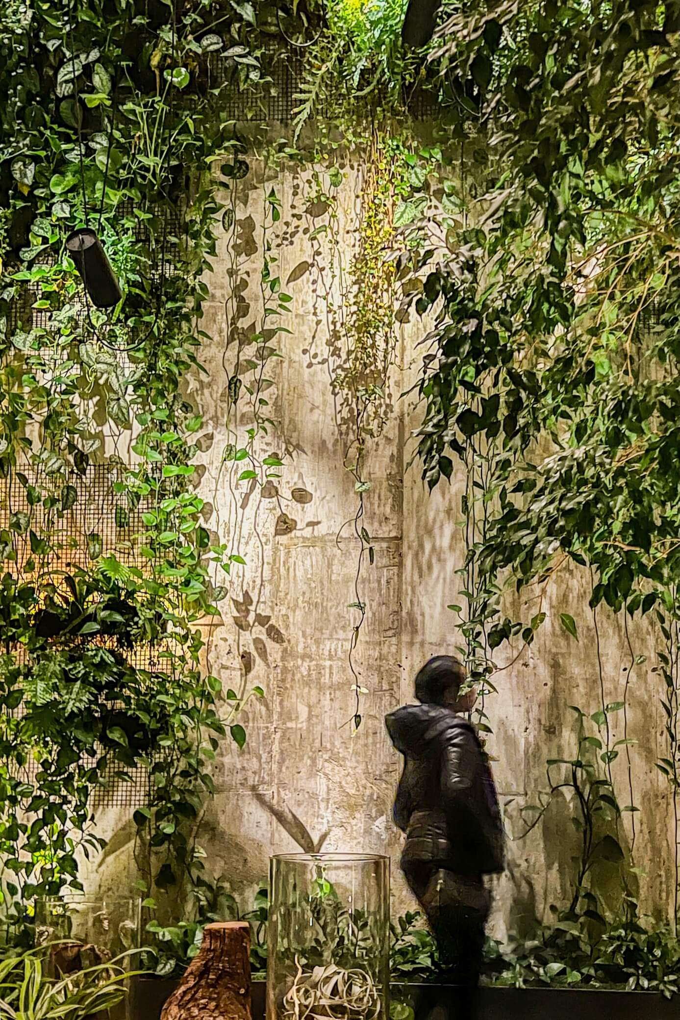 The Green Hour Gallery Wall - Image 4