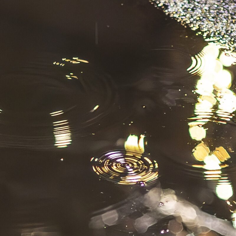 Where the Light Breaks First